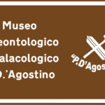 Geological, Paleontological, and Malacological Museum in Morano Calabro - collection P. D'Agostino.