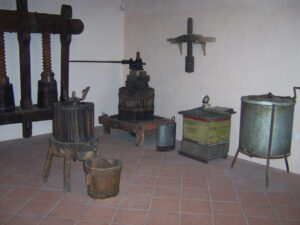 Viticultura e Olivicultura em Morano Calabro
